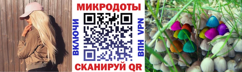 Купить  Полтавская  Псилоцибиновые грибы Cubensis 